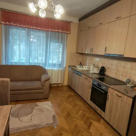Trumpet - Renovated Downtown 1br, Free Parking Apartman